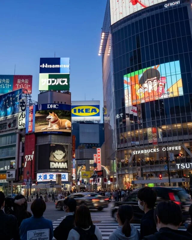 yuya-uzu-yKE3CjfIeQU-unsplash yuya-uzu-yKE3CjfIeQU-unsplash